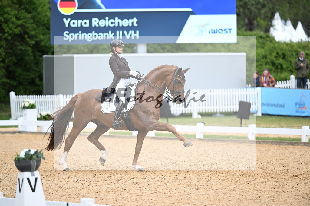 Reichert_SpringBank II VH_26266168 | hf-fotografie - Realisiert mit Pictrs.com