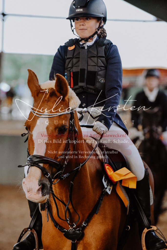 DSC_7515 | Pferde- und Turnierfotografie in Westsachsen. Pferdeportraits, Auftragszeichnungen und intuitive Kunst.