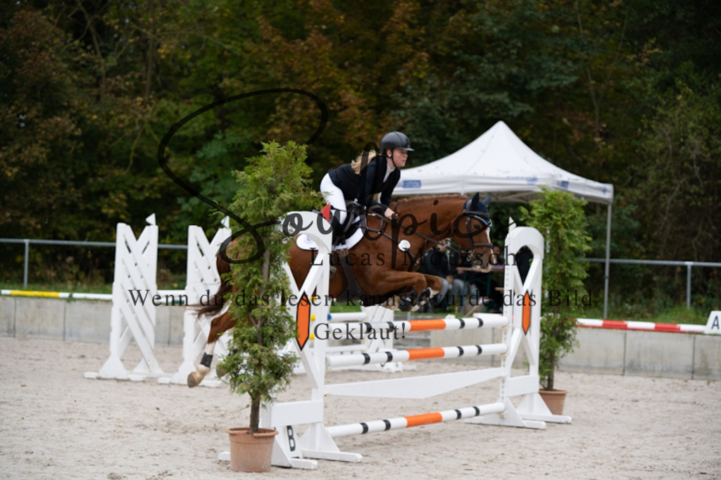 A7V09893 | Turnier/Reitfotograf
