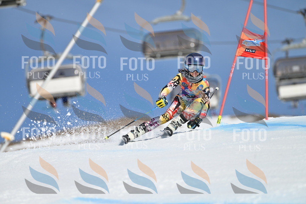 BGV_8974 | holidayphoto