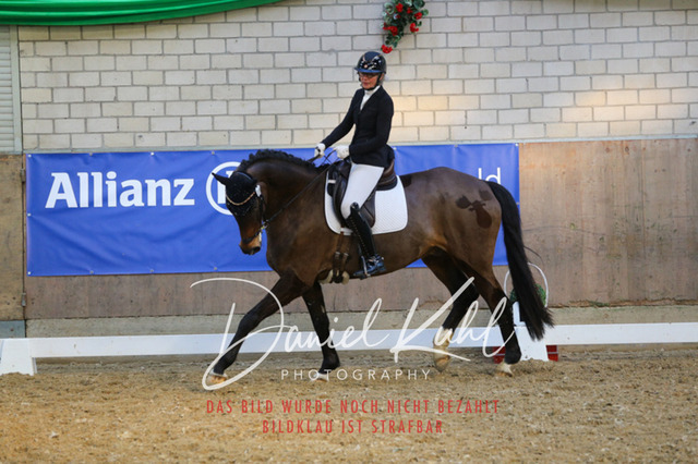 IMG_2722 | Turnierfotos kaufen im Webshop von Daniel Kuhl Photography – entdecke professionelle Reitsportfotos aus Turnieren & Events. Hochwertige Turnierbilder online bestellen & sichern. Jetzt Fotos von Reitsportturnieren kaufen!