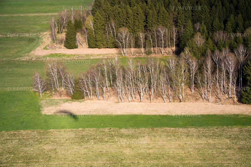 Luftbild: Birken im Frühjahr in Raisting im Bundesland Bayern in Deutschland. Foto: IMG_17850.jpg vom 15.04.2009 durch Werner Riehm/FLY-FOTO.de