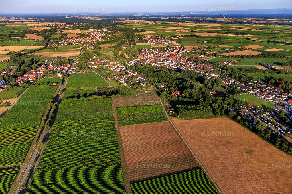 Luftbild: Dorfansicht aus Westen im Ortsteil Ingenheim in Billigheim-Ingenheim im Bundesland Rheinland-Pfalz in Deutschland. Foto: IMG_149450.jpg vom 18.07.2025 durch Werner Riehm/FLY-FOTO.de