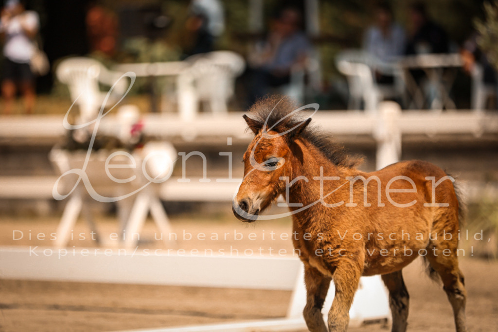 01.DoKR00034 | Leoni Ertmer Photography - Realisiert mit Pictrs.com