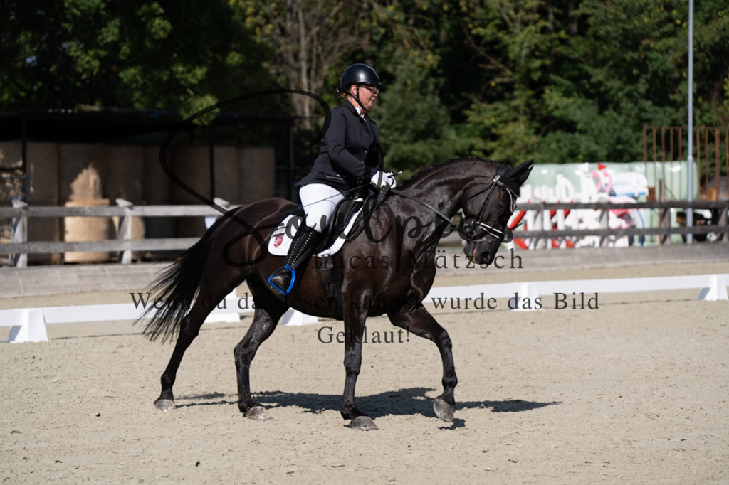 A7V07077 | Pferdefotograf