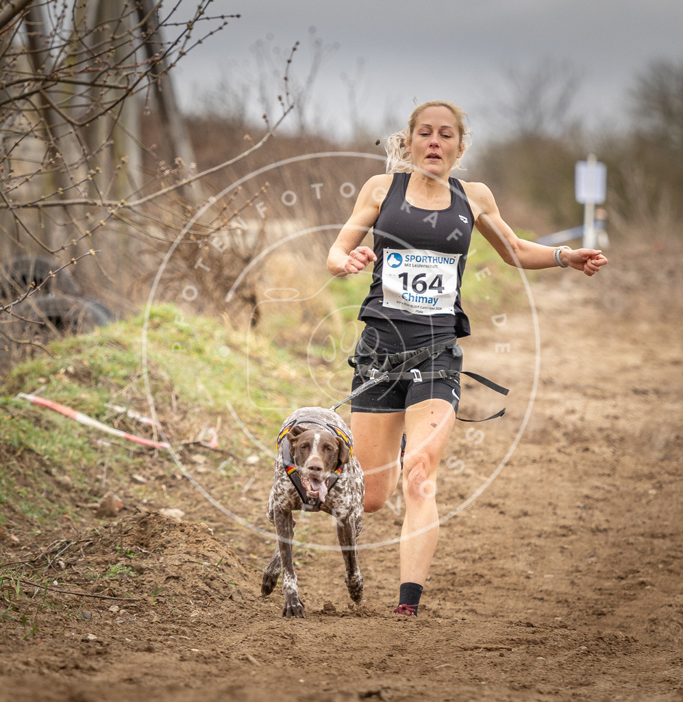 DV3A1788 | Hundefotografie, Tierfotograf, Pfotenfotografie, Fotoshooting Hund, Hunde Portrait, Hundesport, Hundeportraits, Heideshooting, Hunde, Sportfotograf, Hundefotograf, Turnierhundsport, THS,  - Realisiert mit Pictrs.com