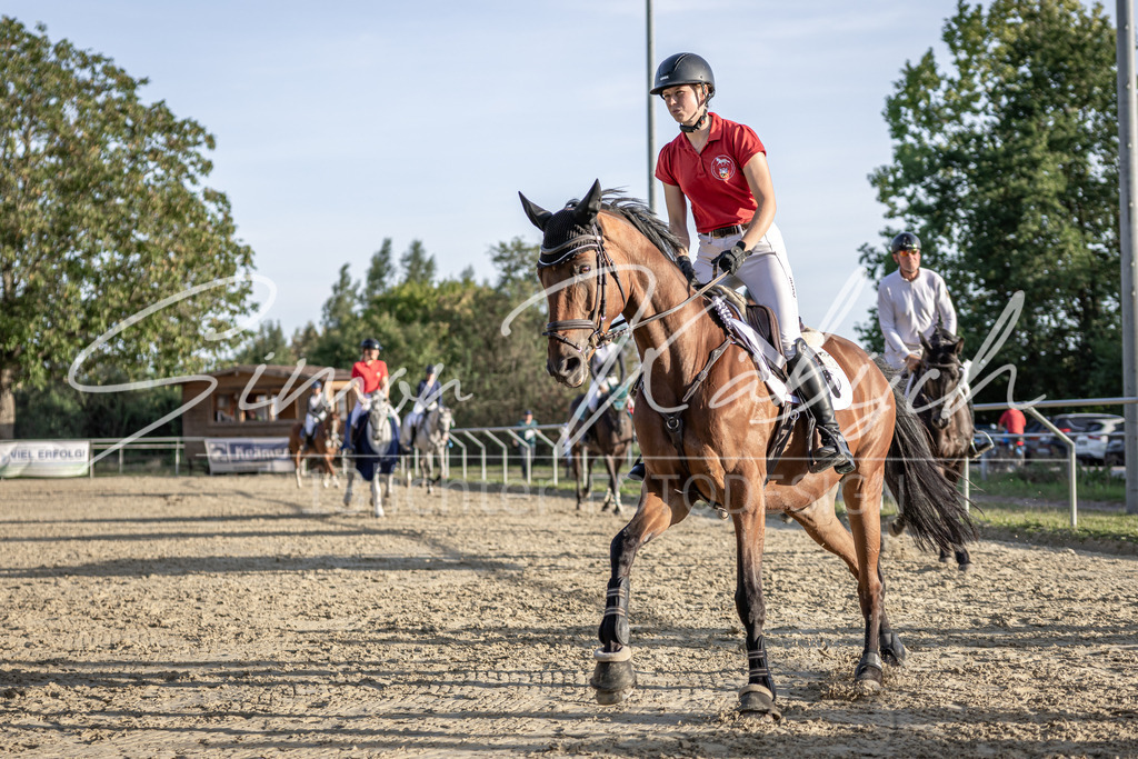 20250907-_3LI4960 | Tierfotografie Pferde, Hunde, Katzen, Haustiere.
Turnierfotografie Reitturniere, Reiten, Springreiten, Dressur in Hanau, dem Main-Kinzig-Kreis und dem Rhein-Main- Gebiet um Frankfurt