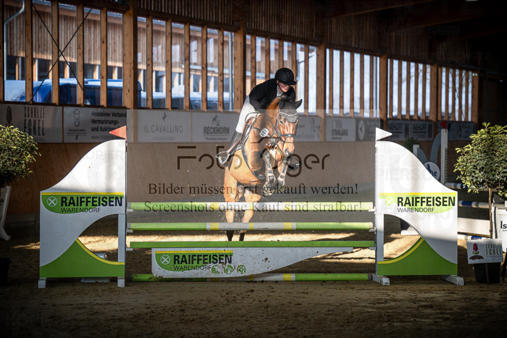 DOS_1143 | Entdecke hochwertige Reitturnierfotos von Foto Oger. Professionell, emotional und authentisch – jetzt Lieblingsmomente im Shop bestellen.Deutschlandweite Turnierfotografie. - Realisiert mit Pictrs.com