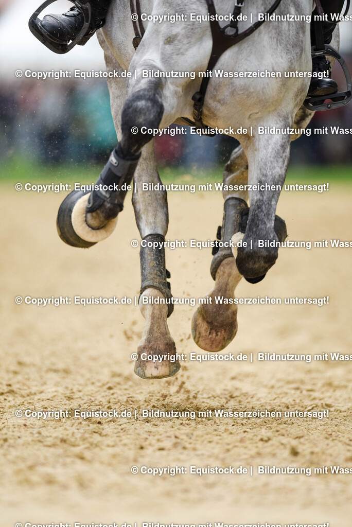 TS_20250607_27_CCI4_Gelände_0275-2 | Foto: Thomas Hartig