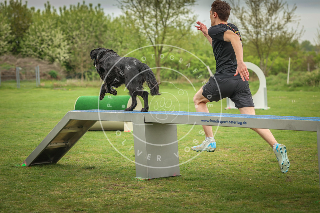 Pfotenfotografie_0L8A0518 | Hundefotografie, Tierfotograf, Pfotenfotografie, Fotoshooting Hund, Hunde Portrait, Hundesport, Hundeportraits, Heideshooting, Hunde, Sportfotograf, Hundefotograf, Turnierhundsport, THS,  - Realisiert mit Pictrs.com