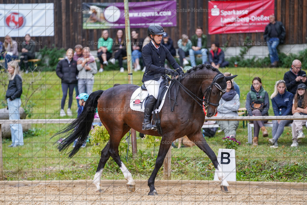 20231007-SN_00865 | Professionelle Turnier- und Reitsportfotografie - mit dem Finger am Auslöser. Pferdebilder aus dem Reitsport von den Turnierfotografen  Bayern , Pferdefotograf Bayern, Pferdeshooting Turnierbilder, Hochzeitsfotograf, Eventfotograf, Hochzeitsbilder