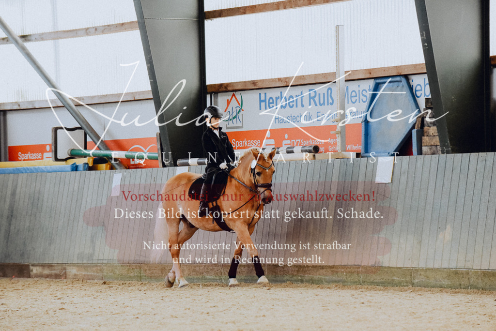 DSC_7323 | Pferde- und Turnierfotografie in Westsachsen. Pferdeportraits, Auftragszeichnungen und intuitive Kunst.