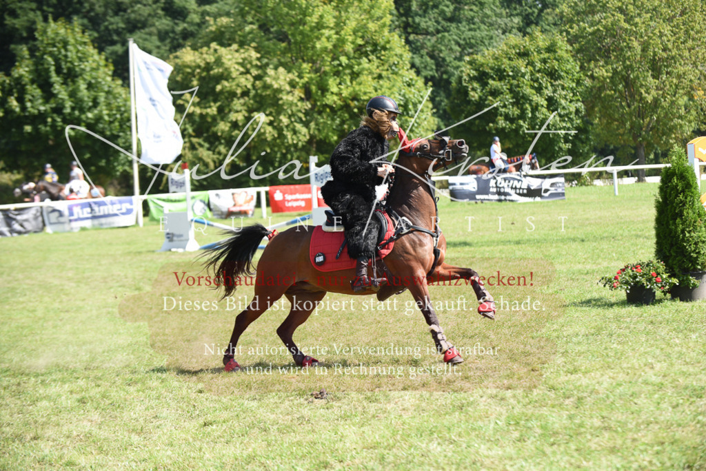 DSC_0315 | Pferde- und Turnierfotografie in Westsachsen. Pferdeportraits, Auftragszeichnungen und intuitive Kunst.