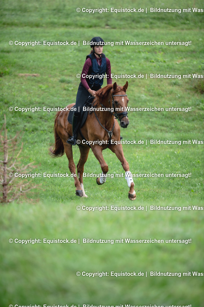 20250726_Vielseitigkeitslehrgang-Marbach_0097 | Foto: Thomas Hartig