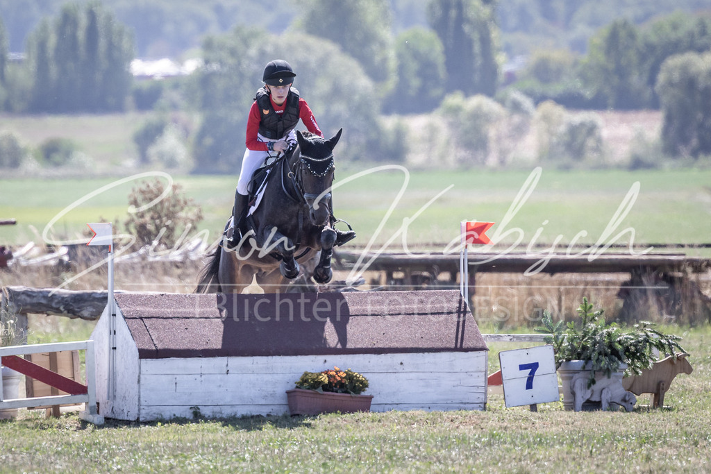 20260906-_3LI3390 | Tierfotografie Pferde, Hunde, Katzen, Haustiere.
Turnierfotografie Reitturniere, Reiten, Springreiten, Dressur in Hanau, dem Main-Kinzig-Kreis und dem Rhein-Main- Gebiet um Frankfurt