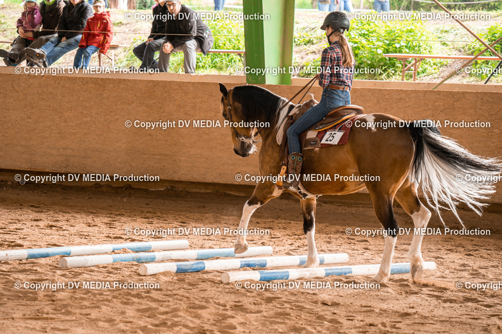 BA400857 | dv-media-shop - Realisiert mit Pictrs.com