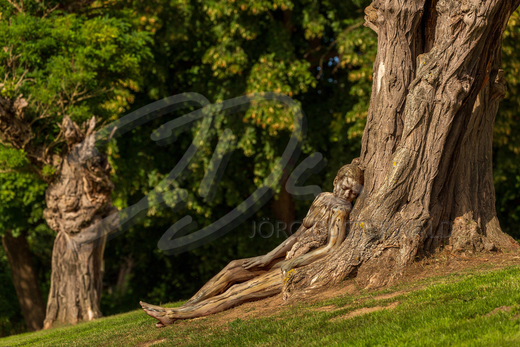 NATUREART Bodypainting AKAZIE (Fotomodell: Tatjana / Projektfotograf: A. Parke) | Im Rahmen seines Bodypainting-Kunstprojektes NATURE ART styled der Bodyart-Künstler Jörg Düsterwald sein Fotomodell Tatjana Heinz so mit Körperfarbe, dass sie mit der Kulisse verschmilzt, Mensch und Natur ineinander übergehen. Fotograf Andreas Parke hält die Performance in einem Park in Braunschweig fotografisch fest. 07. August 2025 - Realisiert mit Pictrs.com