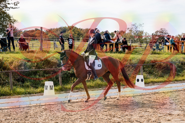2026_10_03_Siefer-Hof_133000_Z63_91813405 | Professionelle Reitsport-, Turnier- und Eventfotografie von Robert Broda. Galerien mit ausgewählten und bearbeiteten Bildern direkt online ansehen und bestellen.