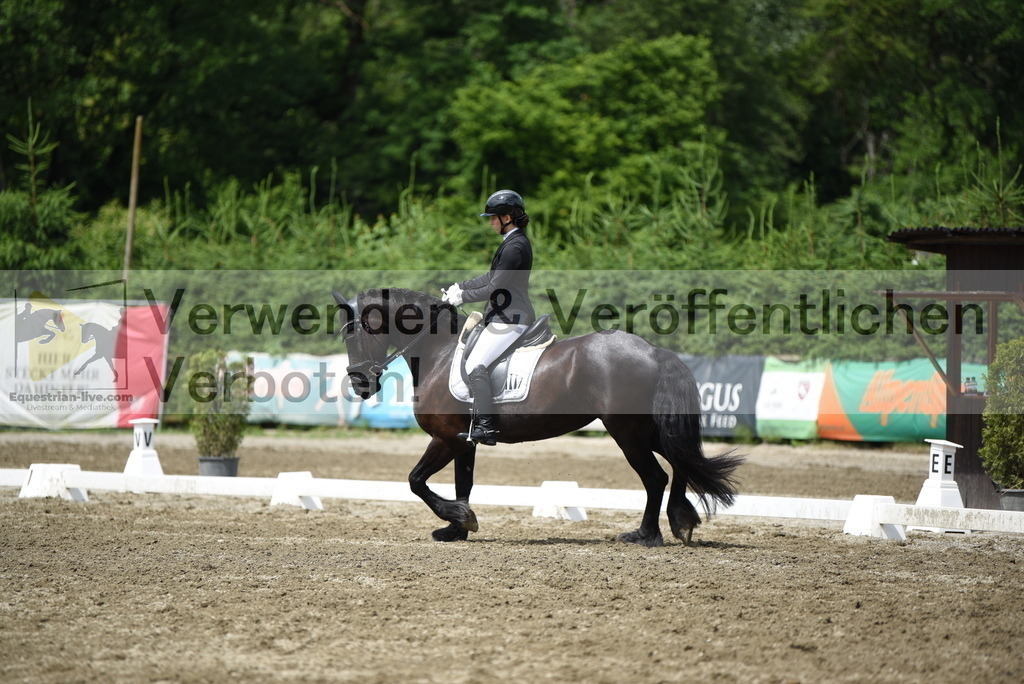 DSC_0754 | equestrian-live-com