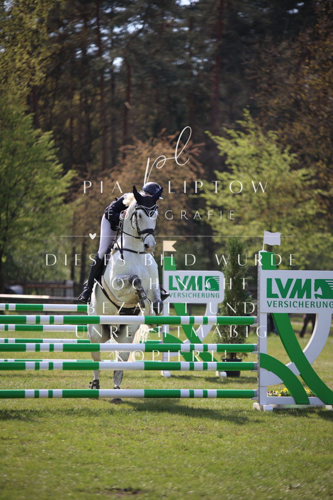 IMGT5904 | pl-fotografie