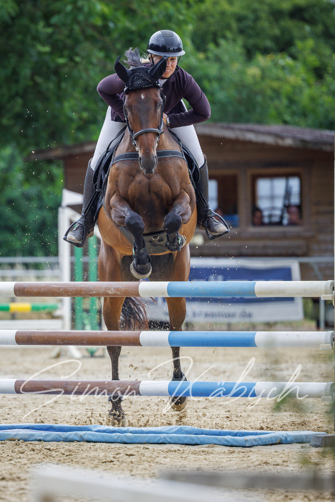 20260705-_3LI5891 | Tierfotografie Pferde, Hunde, Katzen, Haustiere.
Turnierfotografie Reitturniere, Reiten, Springreiten, Dressur in Hanau, dem Main-Kinzig-Kreis und dem Rhein-Main- Gebiet um Frankfurt