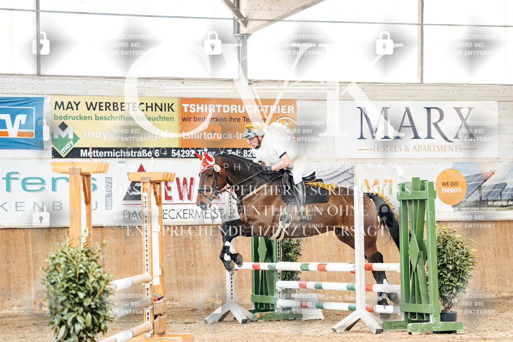 CK905504 | Turnierfotografie Pferdefotografie Trier Rheinland-Pfalz Pferdesport Reitsport Tierfotografie Sportfotografie Pferdevideo Pferdevideografie Equestrianvideography equestrianphotography  - Realisiert mit Pictrs.com