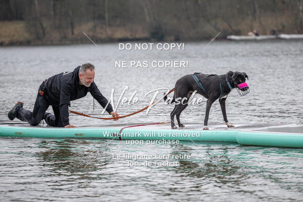 nelerasche_Hulsbeek_Sa1330-1430_299 | nelerasche