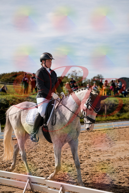 2026_10_03_Siefer-Hof_122647_Z63_47487004 | Professionelle Reitsport-, Turnier- und Eventfotografie von Robert Broda. Galerien mit ausgewählten und bearbeiteten Bildern direkt online ansehen und bestellen.