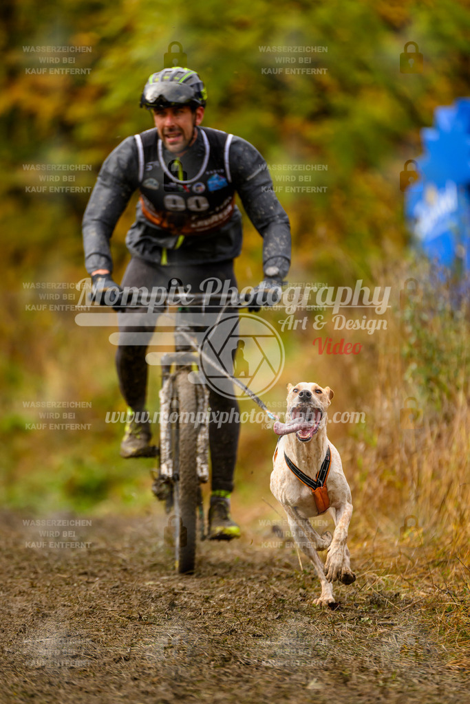 MompixPhotography_ICF_WC_2024_SA_Bike_-42 | PayLife