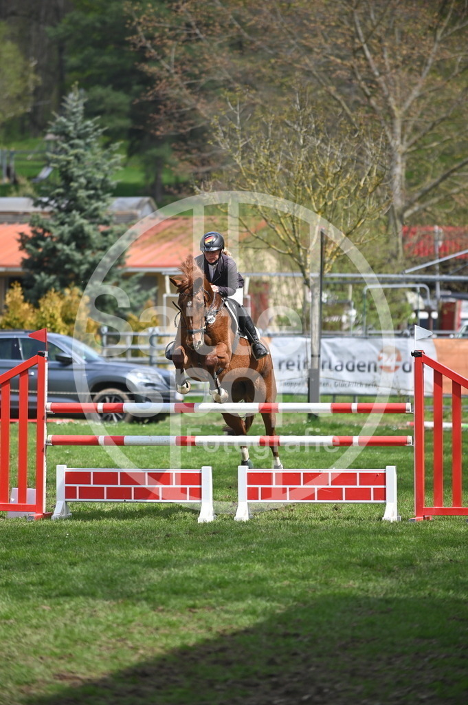 DSC_2535 | sattelsport - Realisiert mit Pictrs.com