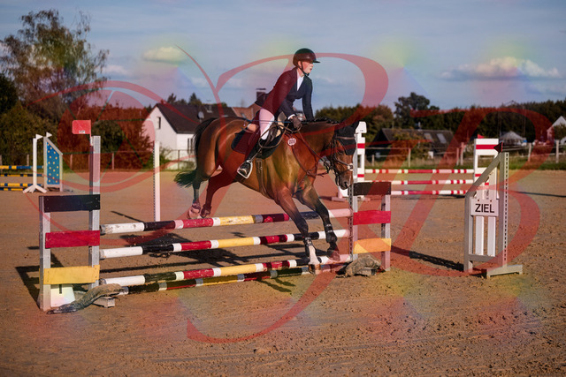 2026_10_03_Siefer-Hof_170837_Z81_05047643 | Professionelle Reitsport-, Turnier- und Eventfotografie von Robert Broda. Galerien mit ausgewählten und bearbeiteten Bildern direkt online ansehen und bestellen.