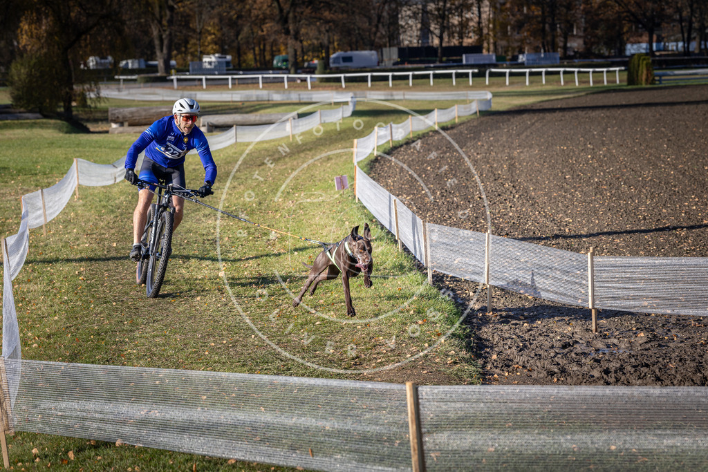 CaniXpix_DV3A3464 | Hundefotografie, Tierfotograf, Pfotenfotografie, Fotoshooting Hund, Hunde Portrait, Hundesport, Hundeportraits, Heideshooting, Hunde, Sportfotograf, Hundefotograf, Turnierhundsport, THS,  - Realisiert mit Pictrs.com