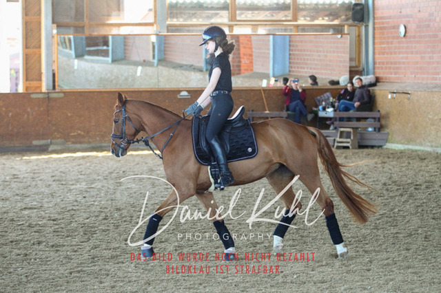 DKP42465 | Turniersportfotografie; Pferdefotografie; Dressurfotografie