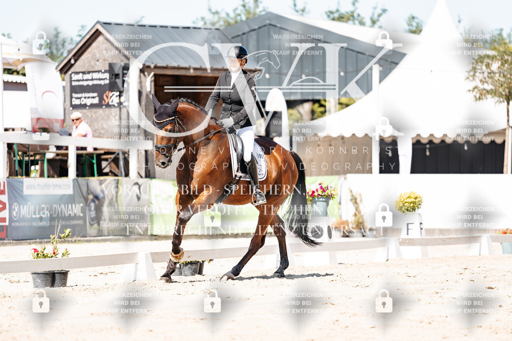 CK909185 | Turnierfotografie Pferdefotografie Trier Rheinland-Pfalz Pferdesport Reitsport Tierfotografie Sportfotografie Pferdevideo Pferdevideografie Equestrianvideography equestrianphotography  - Realisiert mit Pictrs.com