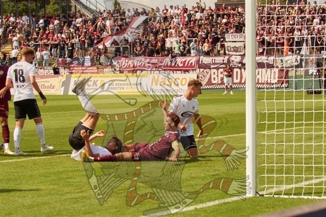 BFC Dynamo vs. ZFC Meuselwitz 035 | mythos-online-redaktion