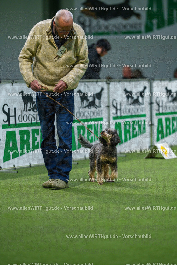 7R505702 | Professionelle Tierfotografie in Mönchengladbach von Daniel Wirth (allesWIRTHgut). Liebevolle & natürliche Bilder von Hunden & Katzen für unvergessliche Erinnerungen.