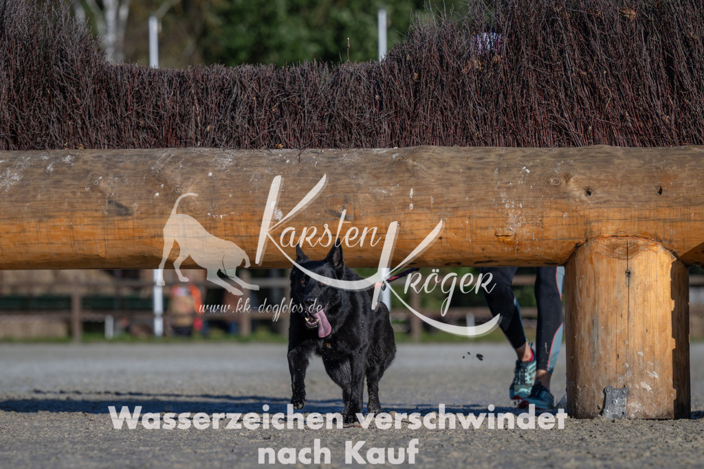 1046-_ZZ92547 | kk-dogfotos
