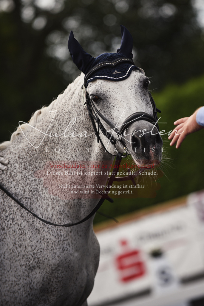 DSC_3982 | Pferde- und Turnierfotografie in Westsachsen. Pferdeportraits, Auftragszeichnungen und intuitive Kunst.