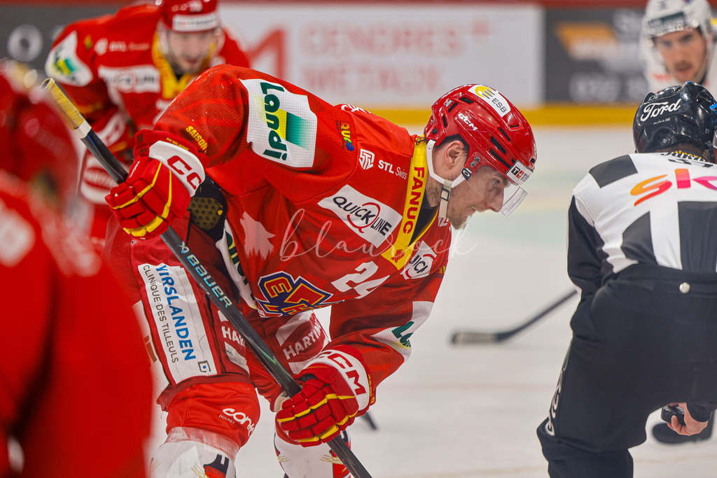 EHCB vs HCAP 20260115_wb-4703 | Sportbilder, Sportfotograf, Hochzeits- und Eventfotografin, Flugshows, Portraits und Tiershooting, Aviation, Downhill, Nationalleague, Swissleague, International