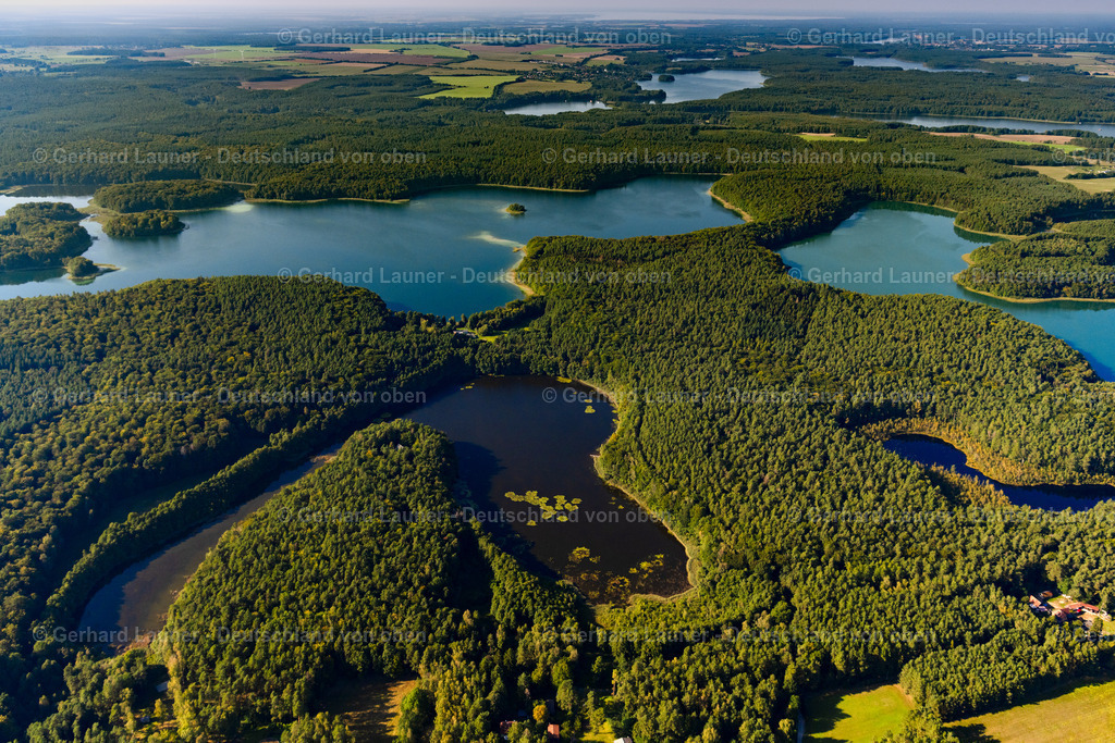 4062366 | HEIMLAND 08.09.2021 Waldgebiete am Ufer des See Großer Wummesee in Heimland im Bundesland Brandenburg. // Forests on the shores of Lake Grosser Wummesee in Heimland in the state Brandenburg. Foto: Gerhard Launer