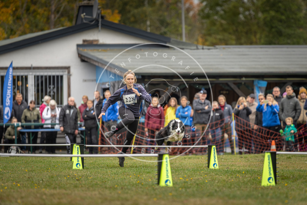 Pfotenfotografie_DV3A3237 | Hundefotografie, Tierfotograf, Pfotenfotografie, Fotoshooting Hund, Hunde Portrait, Hundesport, Hundeportraits, Heideshooting, Hunde, Sportfotograf, Hundefotograf, Turnierhundsport, THS,  - Realisiert mit Pictrs.com