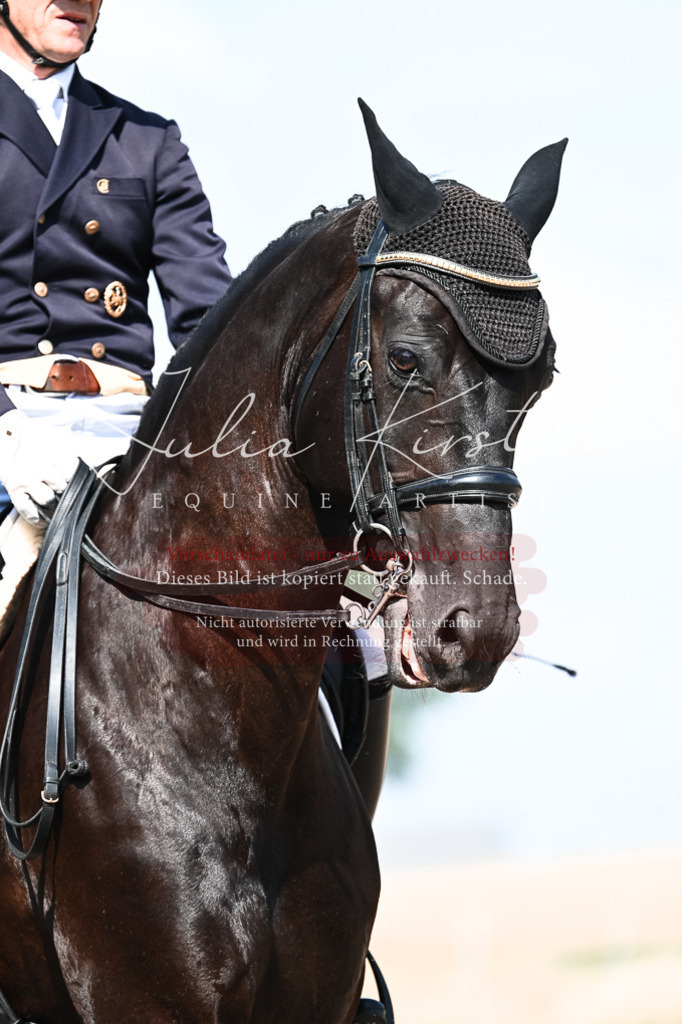 DSC_3003 | Pferde- und Turnierfotografie in Westsachsen. Pferdeportraits, Auftragszeichnungen und intuitive Kunst.