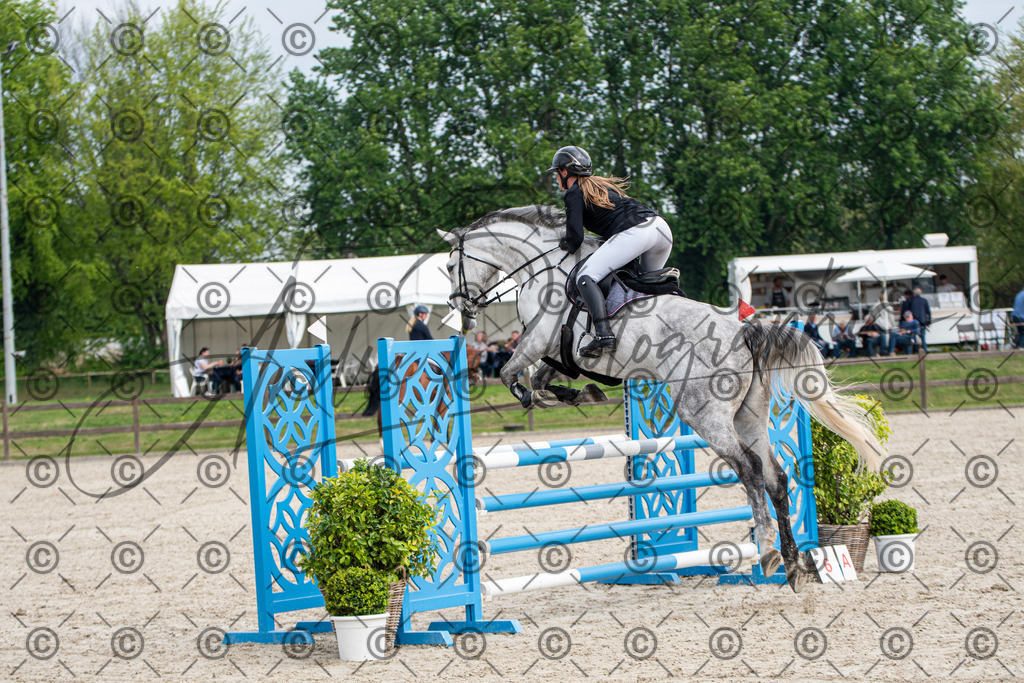 KPT_3104 | andre_photographic