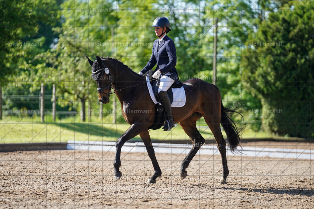 20240519-FAH04435 | Turnierbilder Niederseeon 2024, Vielseitigkeitsdressur, Reitsportbilder aus dem Landkreit Ebersberg, Gut Steinsee, RC Steinsee, Fotoagentur Herrmann