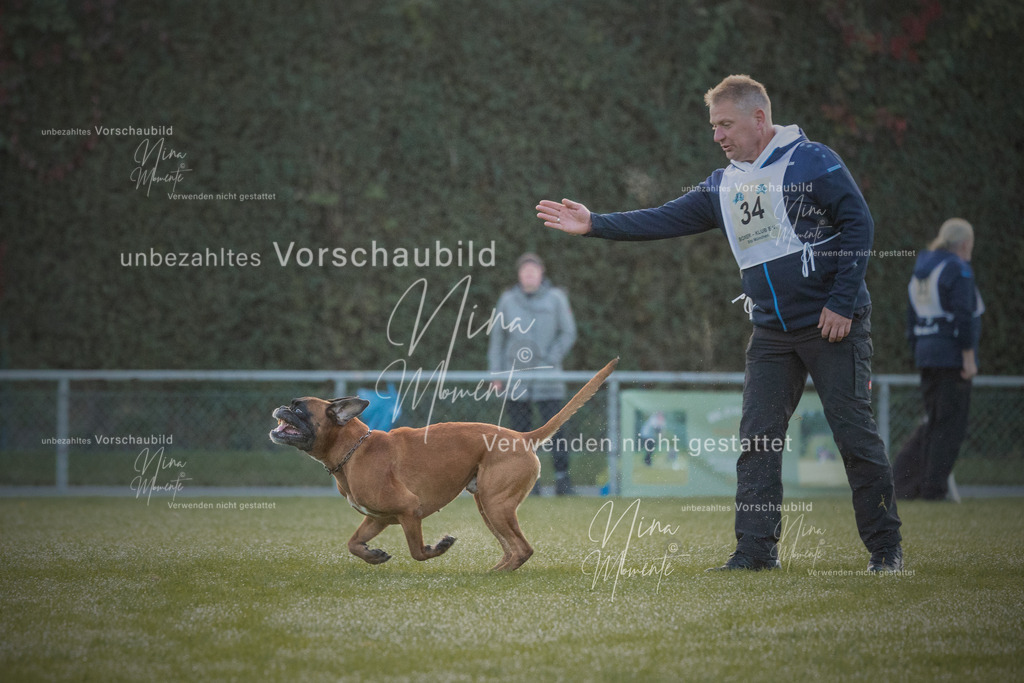 _16A5881-1 | Einzigartige Fotos von Hunden & Menschen –Actionfotos, Portraits, Vereinsaufnahmen & Paarshootings – authentisch, lebendig & mit Herz.