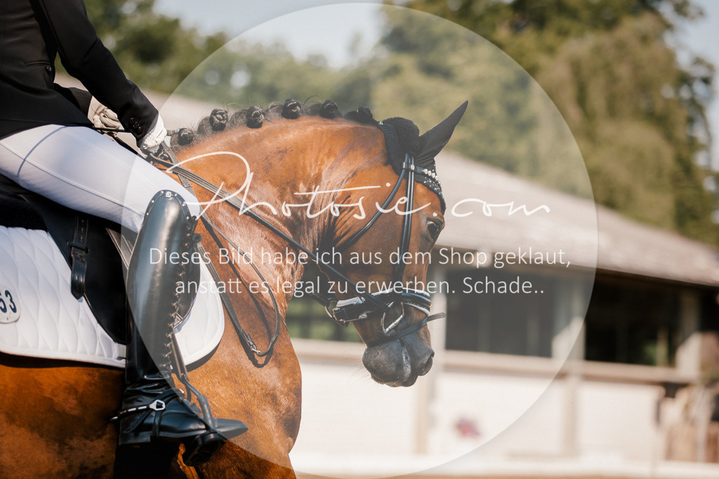 3I6A9059 | Stimmungsvolle Portraits und Reitsportfotografie im Ruhrgebiet und im Münsterland.

Pferdefotografie, Hundefotografie, Tierfotografie, Reportagen, Portraits von Tier und Mensch, Turnierfotografie in Bochum, Recklinghausen, Marl, Haltern am See, Dülmen.. - Realisiert mit Pictrs.com