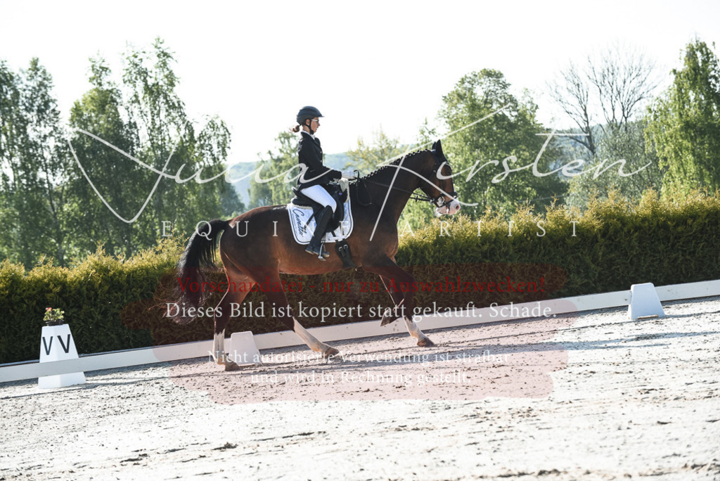 20230518_JK-Röhrsdorf-09-0482 | Pferde- und Turnierfotografie in Westsachsen. Pferdeportraits, Auftragszeichnungen und intuitive Kunst.