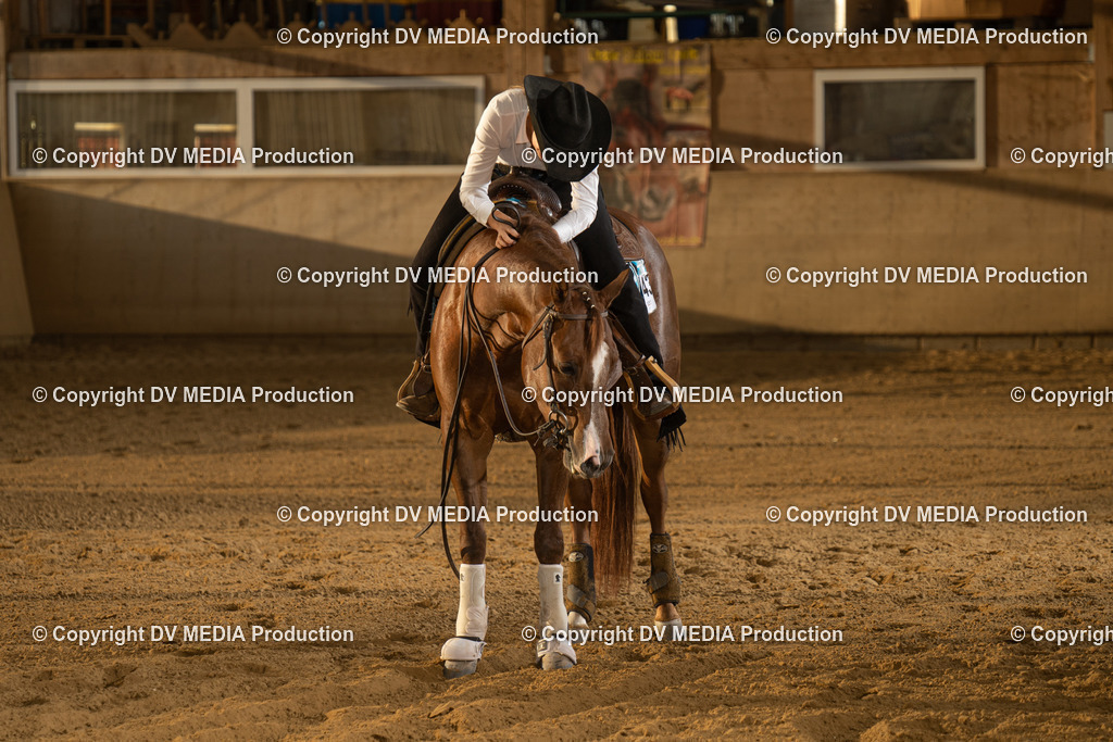 LAU02010 | dv-media-shop - Realisiert mit Pictrs.com