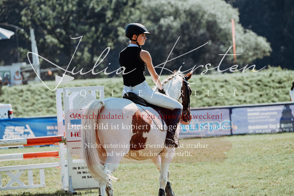 DSC_6049 | Pferde- und Turnierfotografie in Westsachsen. Pferdeportraits, Auftragszeichnungen und intuitive Kunst.