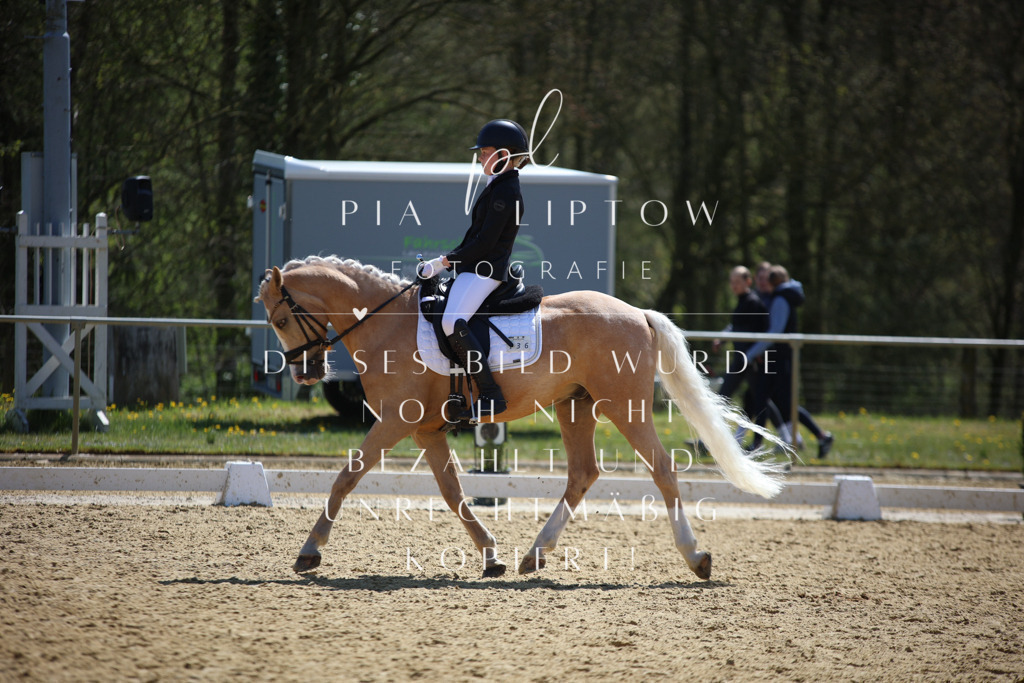 IMGT2399 | pl-fotografie